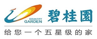 高净值人士保安护卫服务